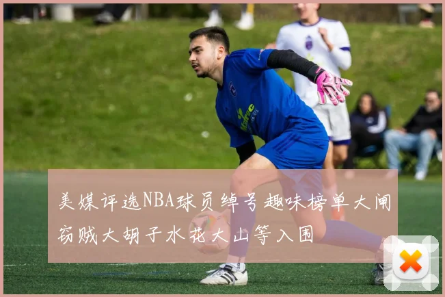 美媒评选NBA球员绰号趣味榜单大闸窃贼大胡子水花大山等入围